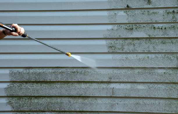 Best Gutter Cleaning and Brightening in Camden, OH